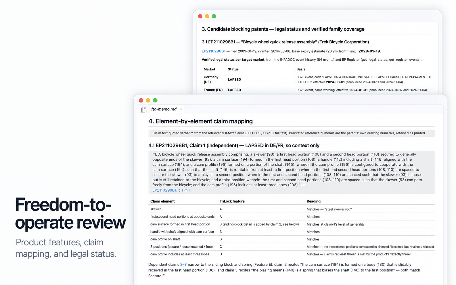 FlowLeap’s freedom-to-operate review showing claim-to-product mapping and a patent status table, with EP2110298B1 marked as lapsed in Germany and France and included for context only.